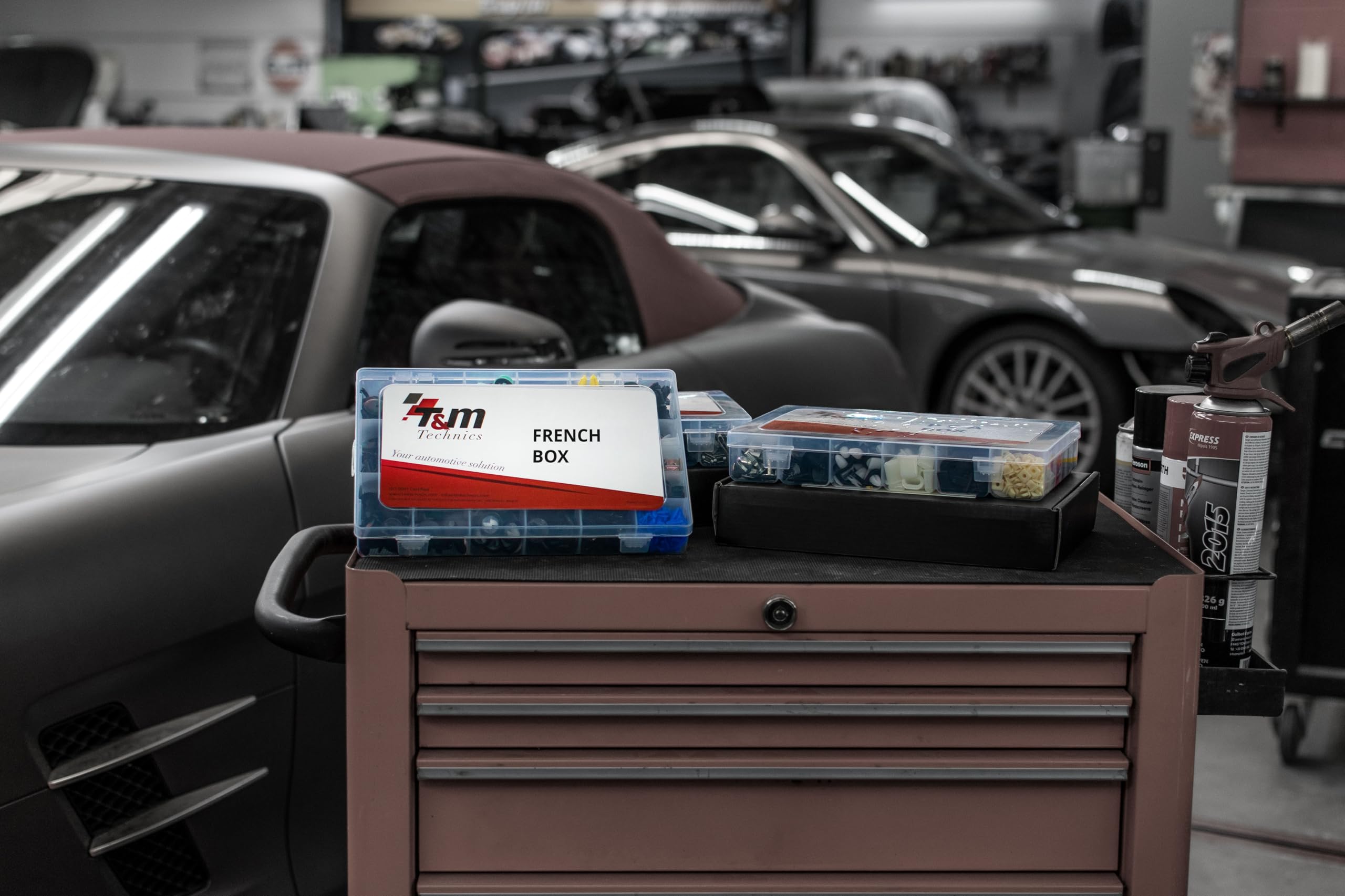 Coffret T&M Technics de 519 clips de carrosserie pour voitures françaises – vue 6